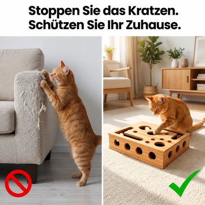 SanftePfote
