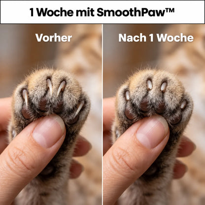 SanftePfote